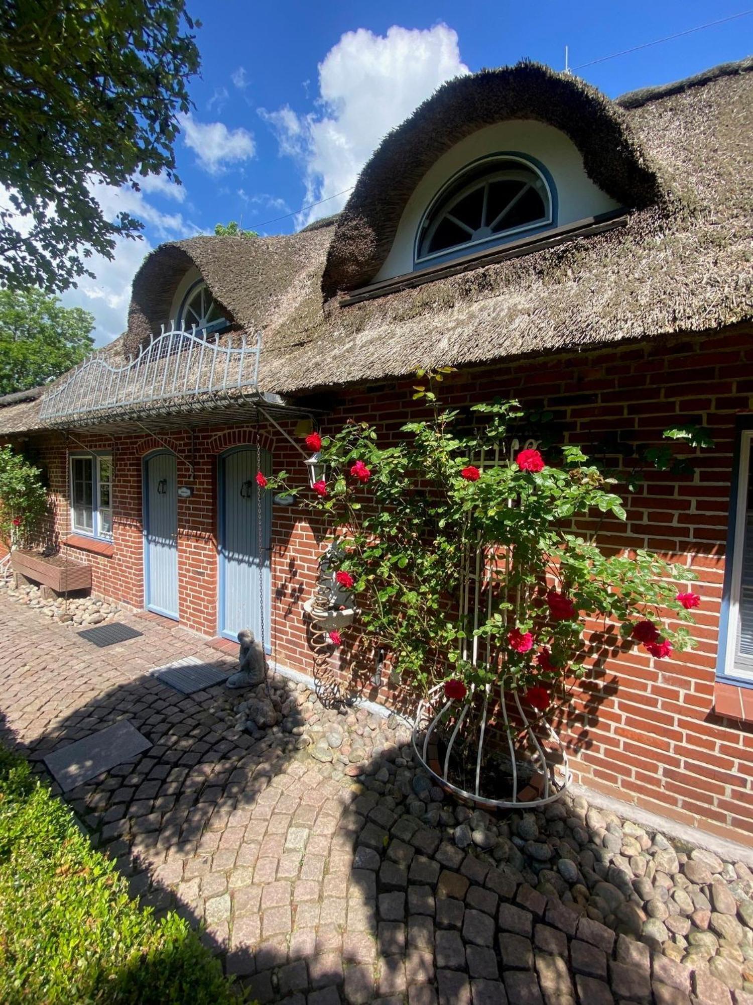 Hus Op De Duen Austernfischer Sankt Peter-Ording Buitenkant foto
